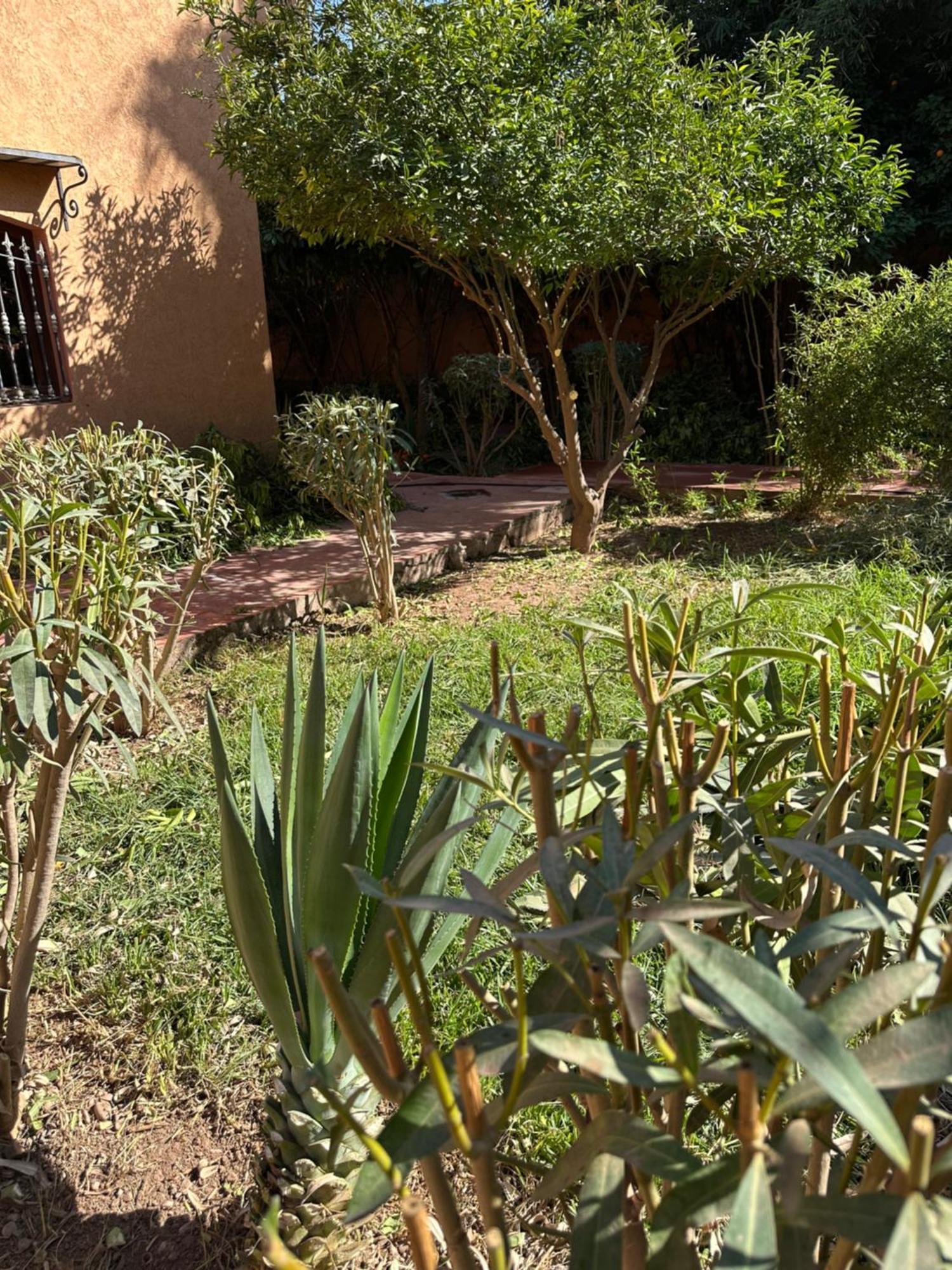 Accommodatie bij particulieren Fekhara Country Club